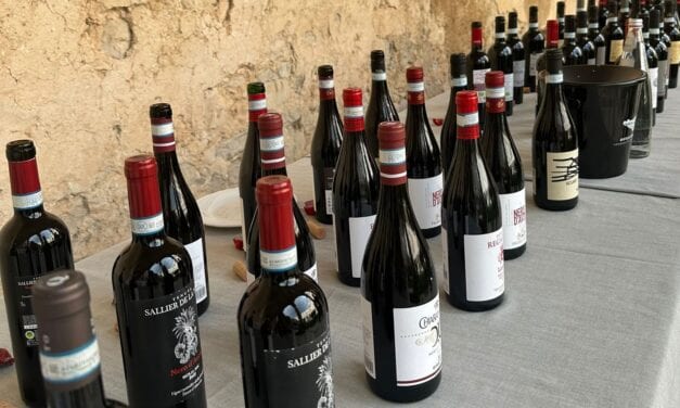 Nero d’Avola, cinque interpretazioni da portare in tavola questo autunno: la degustazione