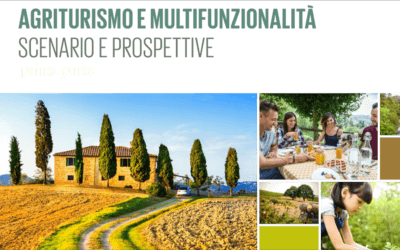 Agriturismi e multifunzionalità. Presentato il rapporto 2024 da Ismea (prima parte).