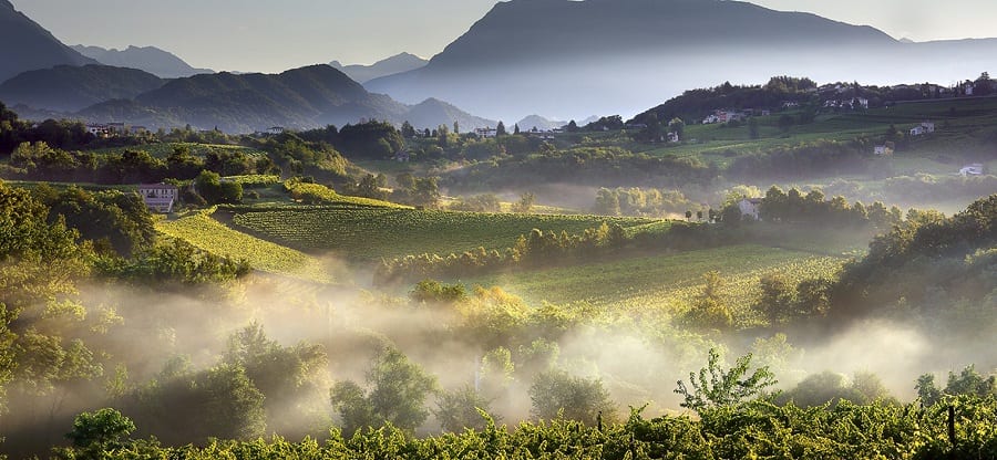 Export mondiali di vino, crollo a marzo dell’8,7% a livello globale. Il Prosecco salva l’Italia che cede appena lo 0,9%