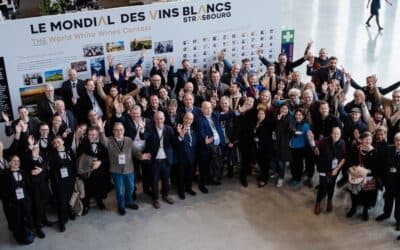 Mondiale dei Vini Bianchi a Strasburgo. Aperte le iscrizioni 2025 anche ai no-low alcool.