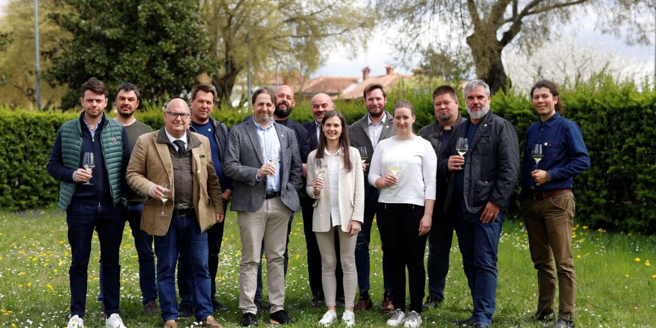 Consorzio Vini Collio, Luca Raccaro è il nuovo presidente