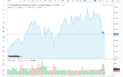 Constellation Brands (Ruffino) modifica il suo portafoglio vino e si concentra sui premium