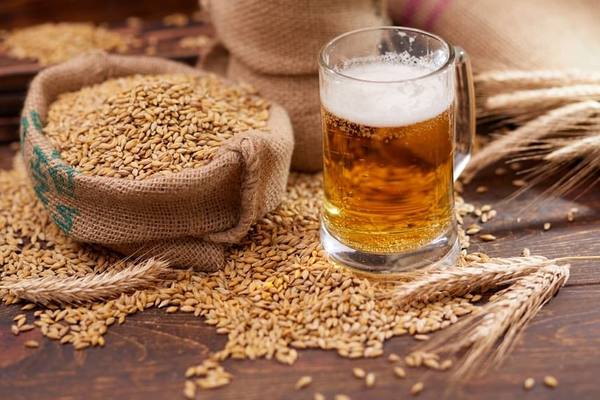 Assobirra, nel 2024 l’Italia ha confermato la sua produzione brassicola a 17 milioni di ettolitri. Consumi leggermente in calo
