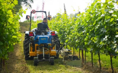 Macchinari agricoli, crolla del 25% export italiano che si attesta a 1,2 miliardi (meno 9% nei primi due mesi del 2025)