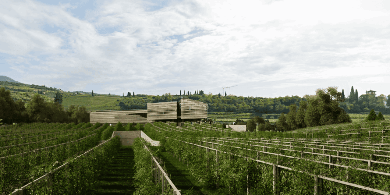 Monteleone 21, debutta la wine experience di Masi che rivoluziona l’enoturismo