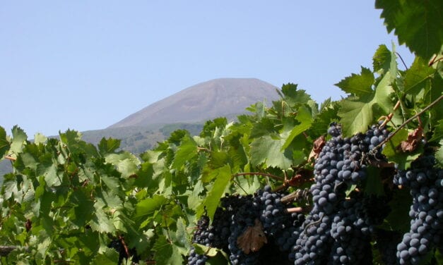 Campania Stories 2025, alle falde del Vesuvio