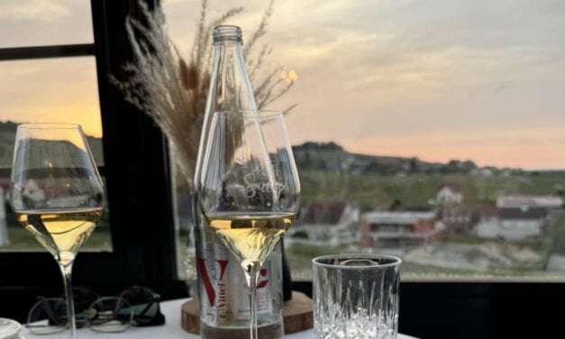 Château de Sacy: un castello incantato immerso nei vigneti