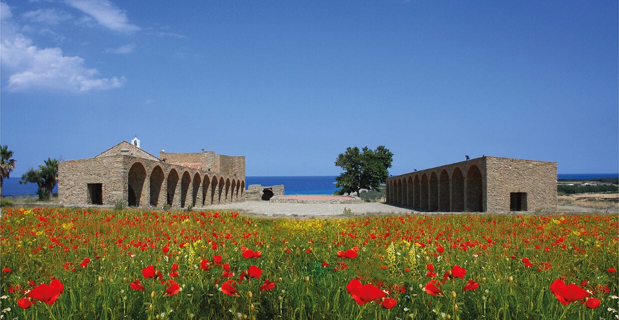 Calabria, il Cirò diventa DOCG e lo festeggia il 10 agosto
