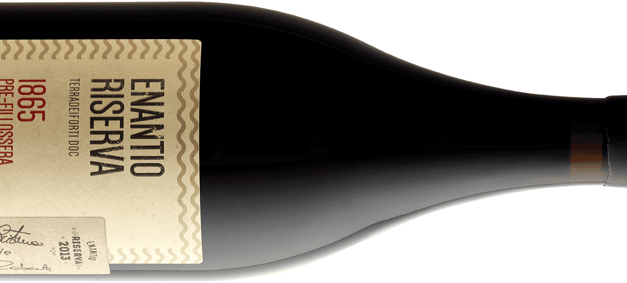 Vallagarina, Cantina Roeno: la degustazione