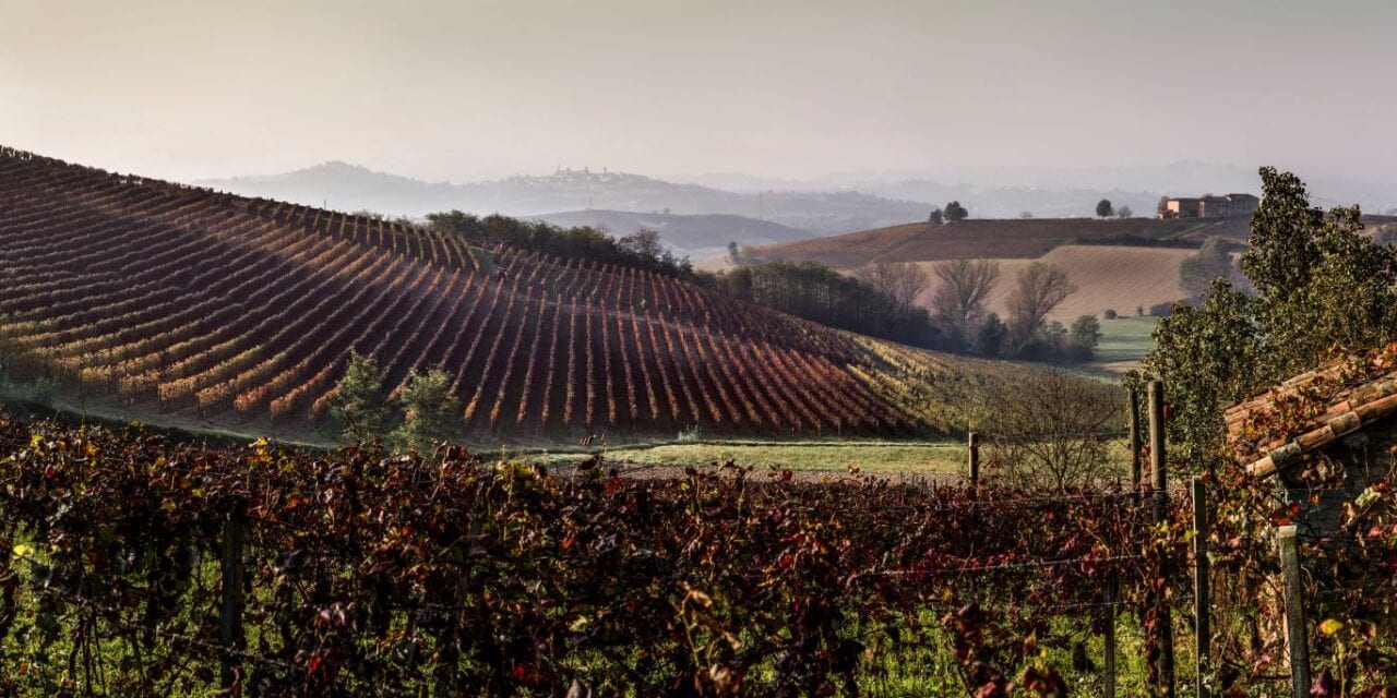 Cantine Coppo, il fascino  delle Langhe