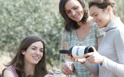 Il Soave Classico come non l’avete mai visto, attraverso i vini di Suavia