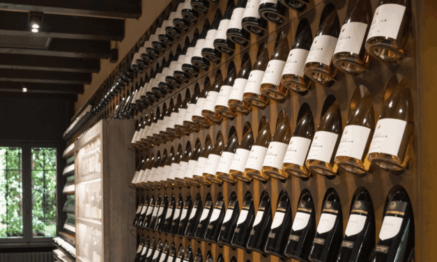 Pinot Grigio 2023 Tenute Tomasella: la degustazione