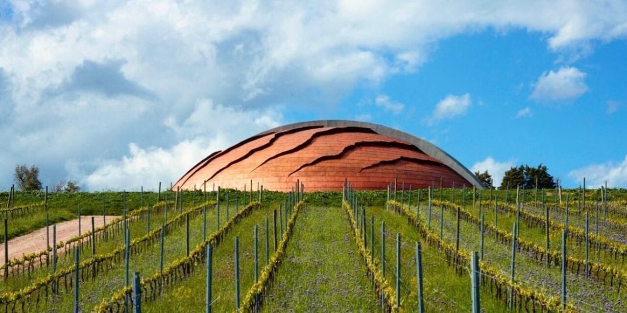 Il Carapace, un vino che ti porta dentro un’opera d’arte