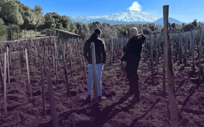 I Vigneri, l’Etna immortale di Salvo Foti