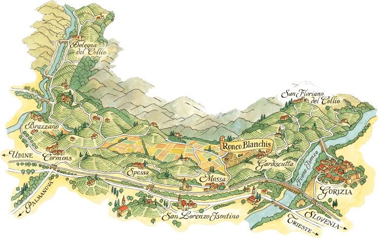 Collio da uve autoctone, cresce il progetto di valorizzazione. entra Ronco Blanchis (Venegazzù Vini)