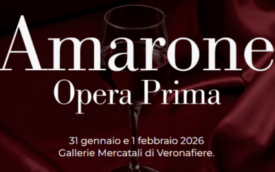 Amarone DOCG  2021, ecco come è l’annata