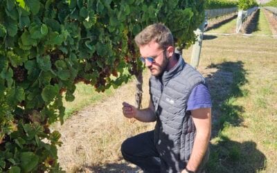 Tommaso Zanella, l’enologo creativo dall’anima tradizionale ma con un’esperienza internazionale