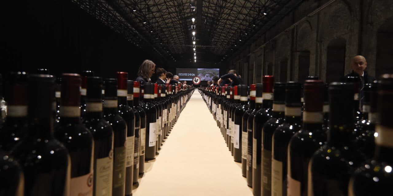 Chianti Classico, un millesimo 2024 “gastronomico”