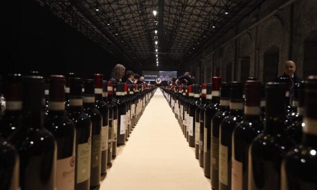 Chianti Classico, un millesimo 2024  “gastronomico”