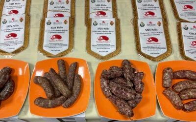 XXIX Palio della Stortina Veronese: l’evento gastro-culinario dedicato ai produttori amatoriali della pianura