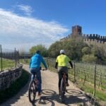 Wine Bike Loop