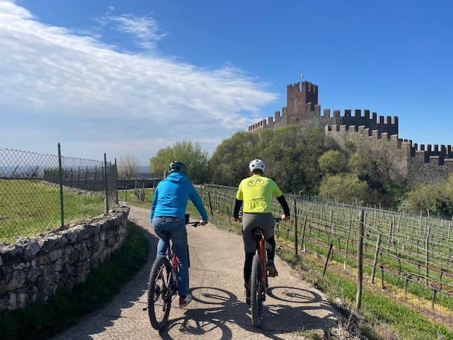 Wine Bike Loop