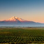 Armenia, la rinascita della culla del vino