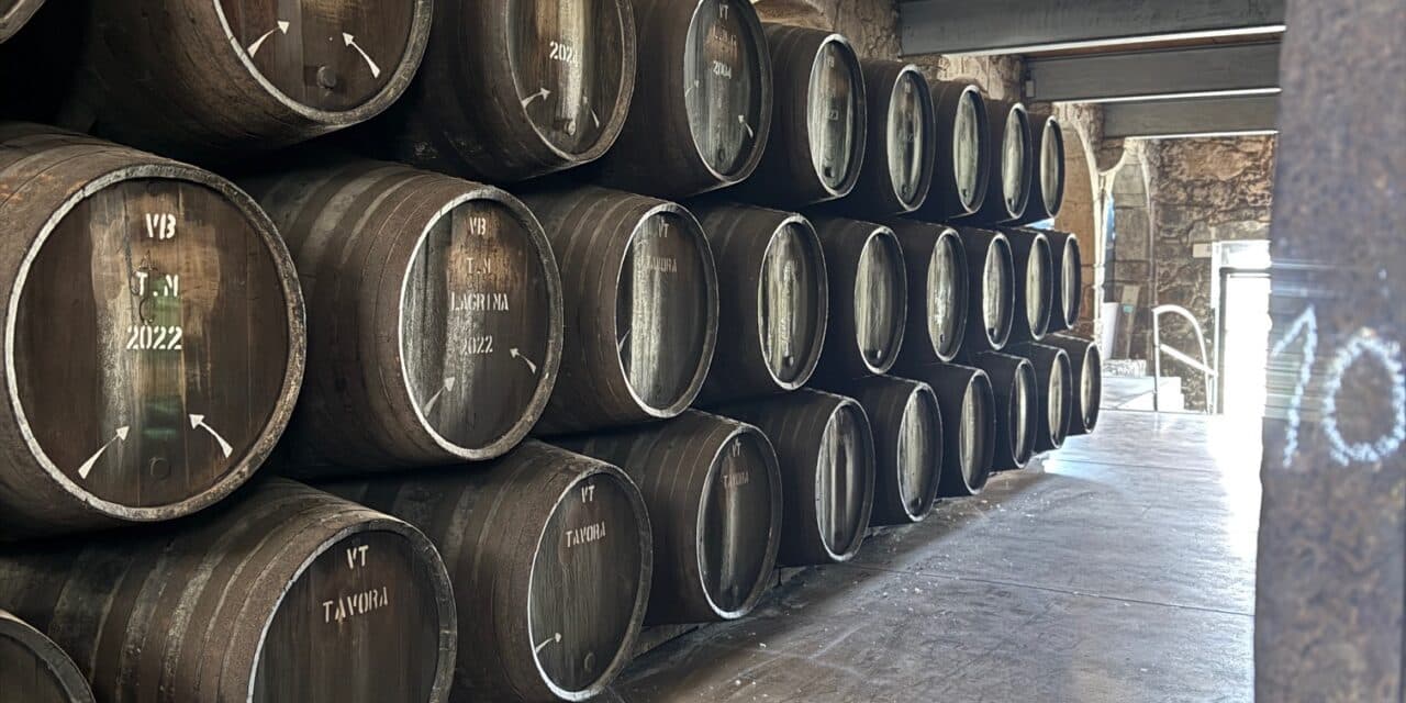 Porto Vasconcellos, una piccola cantina nel cuore di Vila Nova de Gaia