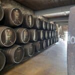 Porto Vasconcellos