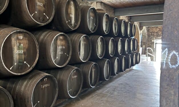Porto Vasconcellos, una piccola cantina nel cuore di Vila Nova de Gaia