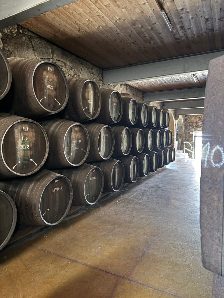 Porto Vasconcellos