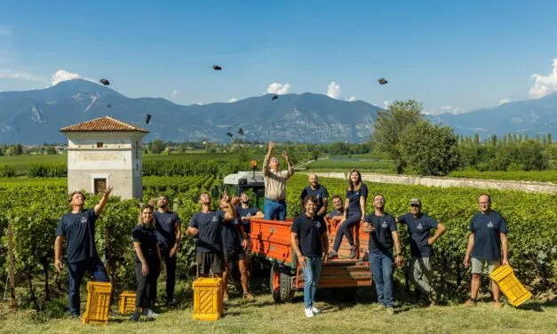 Guido Berlucchi, la vendemmia 2023 in Franciacorta è iniziata al Brolo. Ziliani: cambiamenti climatici come sfida