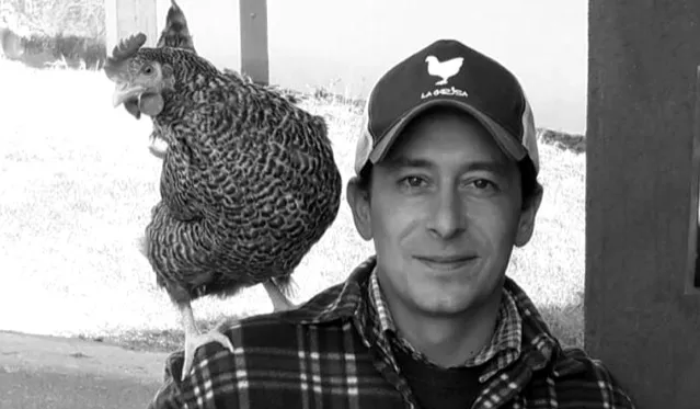 Da architetto ad allevatore di una razza di galline  in Lessinia. Una storia d’amore tra animale e uomo che supera i confini della modernità.