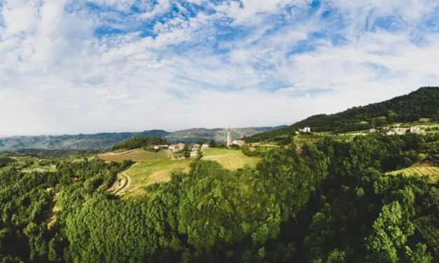 Monti Lessini Durello, cresce per qualità e numeri il metodo classico della montagna veronese e berica