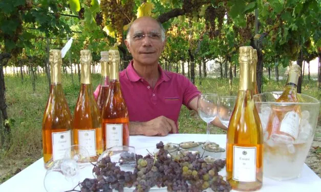 di Filippo “Estasi in Armonia” Moscato passito di Trani Doc metodo classico Pas Dosé 2017. La degustazione