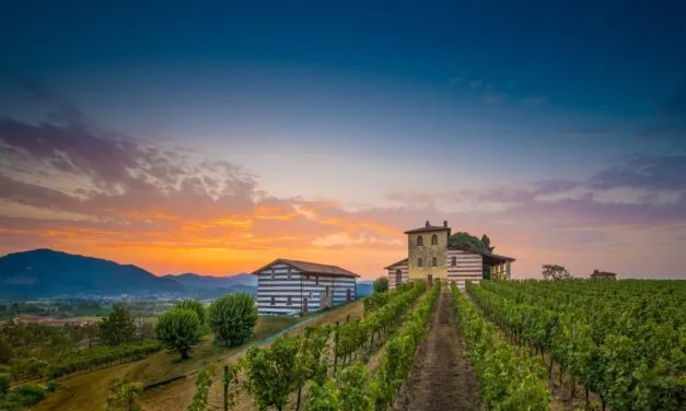 Franciacorta DOCG Pas Dosé, nove bottiglie per comprendere il nuovo trend della denominazione