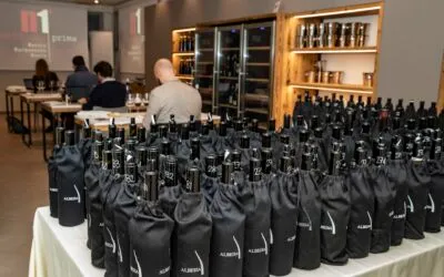 Nebbiolo Prima, l’edizione 2024 conferma il momento d’oro dell’Albeisa e dei grandi vini piemontesi