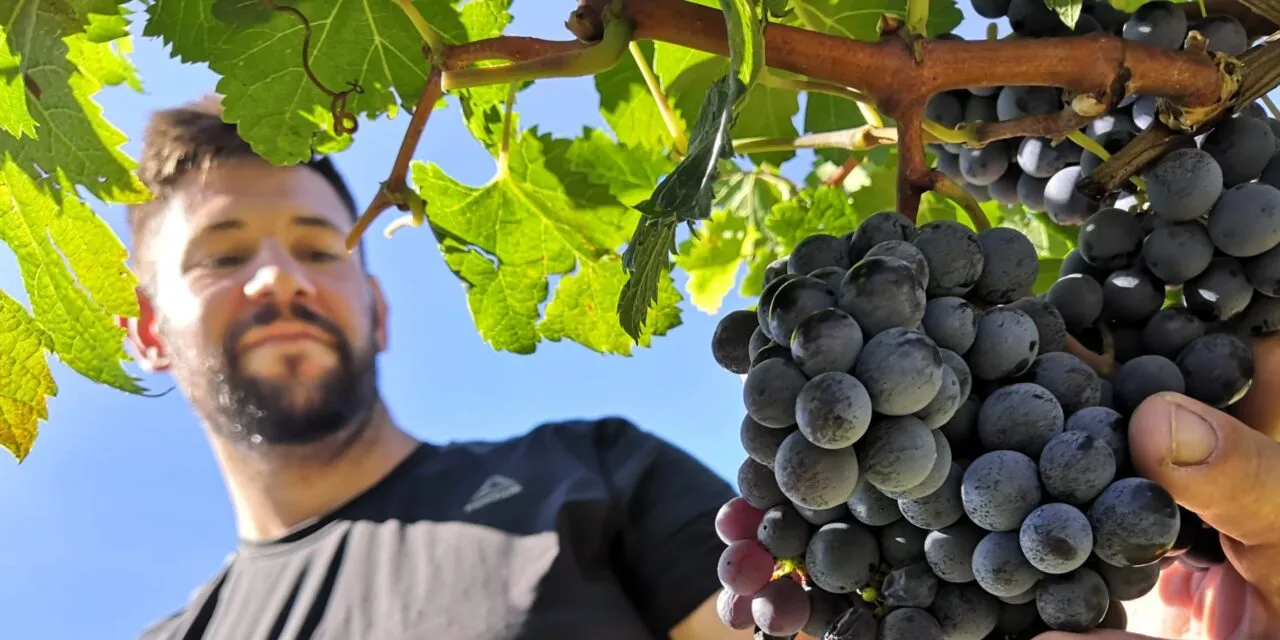 Thomas Conzato. Il vignaiolo esploratore che pratica l’agroecologia e sfida il suo territorio