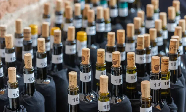 Derthona 2.0, ecco i nostri migliori assaggi