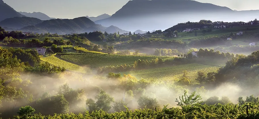 Export mondiali di vino, crollo a marzo dell’8,7% a livello globale. Il Prosecco salva l’Italia che cede appena lo 0,9%