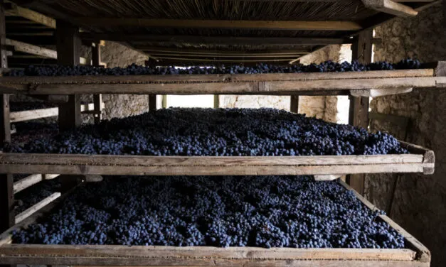 Valpolicella: vale 6 miliardi la denominazione di punta di Verona