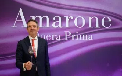 Amarone DOCG, cento anni di crescita inarrestabile raccontati in nove vini senza tempo