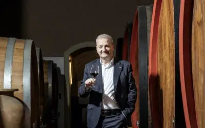 Cantine Vitevis, Gianfranco Gambesi è il nuovo direttore generale