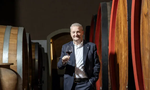 Cantine Vitevis, Gianfranco Gambesi è il nuovo direttore generale
