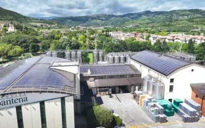 Cantine di Verona pubblica il suo primo bilancio di sostenibilità