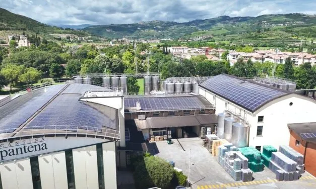 Cantine di Verona pubblica il suo primo bilancio di sostenibilità