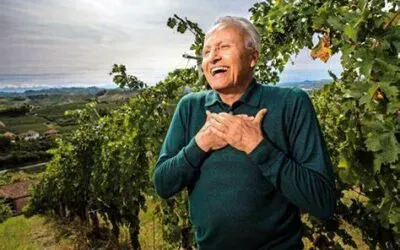 Angelo Gaja: alcol nel vino, demonizzazione frutto di scarsa conoscenza