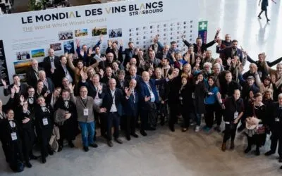 Mondiale dei Vini Bianchi a Strasburgo. Aperte le iscrizioni 2025 anche ai no-low alcool.