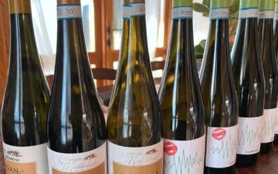 La Lugana di Cascina Maddalena dal 2006 ad oggi. Una verticale illuminante.