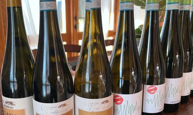 La Lugana di Cascina Maddalena dal 2006 ad oggi. Una verticale illuminante.